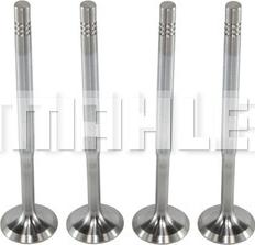 MAHLE VA0700074 - Впускний клапан autocars.com.ua