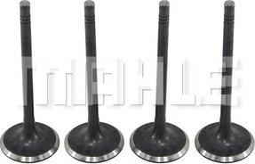 MAHLE VA0700267 - Впускний клапан autocars.com.ua