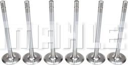 MAHLE VA0710063 - Впускний клапан autocars.com.ua