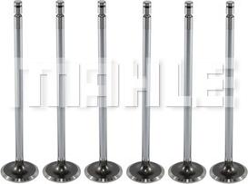 MAHLE VA0710203 - Впускний клапан autocars.com.ua