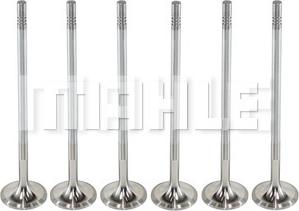 MAHLE VA0711398 - Впускний клапан autocars.com.ua