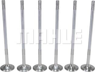 MAHLE VA0711765 - Впускний клапан autocars.com.ua