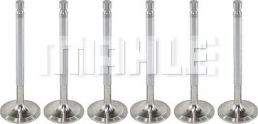 MAHLE VA0760013 - Впускний клапан autocars.com.ua