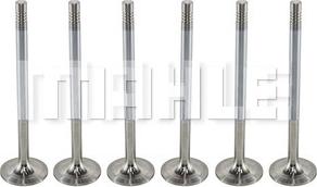 MAHLE VA0761423 - Впускний клапан autocars.com.ua