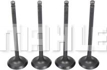 MAHLE VA1950236 - Впускний клапан autocars.com.ua