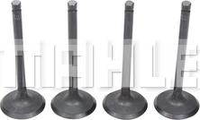 MAHLE VA1950247 - Впускний клапан autocars.com.ua