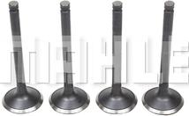 MAHLE VA2110185 - Впускний клапан autocars.com.ua