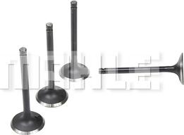 MAHLE VA2110229 - Впускний клапан autocars.com.ua