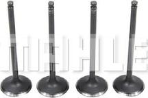 MAHLE VA2111419 - Впускний клапан autocars.com.ua