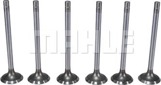 MAHLE VE0011764 - Випускний клапан autocars.com.ua