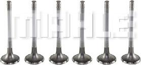 MAHLE VE0130010 - Випускний клапан autocars.com.ua