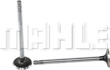 MAHLE VE0140014 - Випускний клапан autocars.com.ua