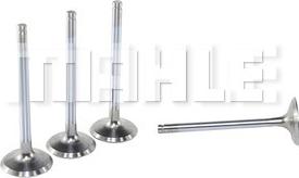 MAHLE VE0140039 - Випускний клапан autocars.com.ua