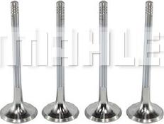 MAHLE VE0140071 - Випускний клапан autocars.com.ua