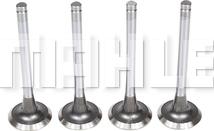 MAHLE VE0140113 - Випускний клапан autocars.com.ua