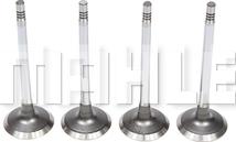 MAHLE VE0141706 - Випускний клапан autocars.com.ua