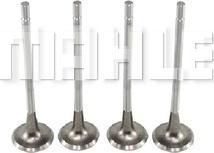 MAHLE VE0180125 - Випускний клапан autocars.com.ua