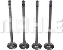 MAHLE VE0181607 - Випускний клапан autocars.com.ua