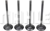 MAHLE VE0181704 - Випускний клапан autocars.com.ua