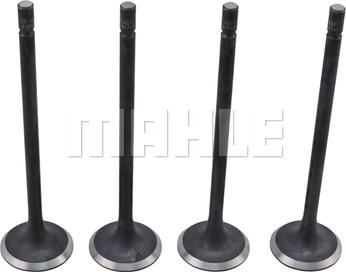 MAHLE VE0181747 - Випускний клапан autocars.com.ua