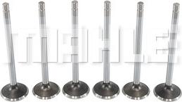 MAHLE VE0211428 - Випускний клапан autocars.com.ua