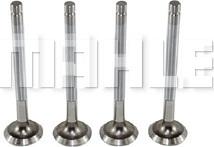 MAHLE VE0250001 - Випускний клапан autocars.com.ua