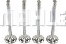 MAHLE VE0250019 - Випускний клапан autocars.com.ua