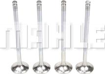 MAHLE VE0250051 - Випускний клапан autocars.com.ua