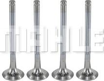 MAHLE VE0250053 - Випускний клапан autocars.com.ua