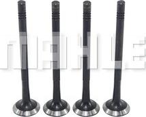 MAHLE VE0250163 - Випускний клапан autocars.com.ua