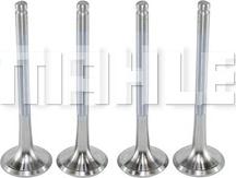 MAHLE VE0250164 - Випускний клапан autocars.com.ua