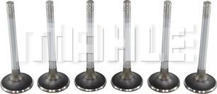 MAHLE VE0250167 - Випускний клапан autocars.com.ua