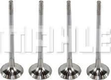 MAHLE VE0250272 - Випускний клапан autocars.com.ua