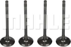 MAHLE VE0251615 - Випускний клапан autocars.com.ua