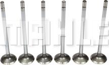 MAHLE VE0381700 - Випускний клапан autocars.com.ua