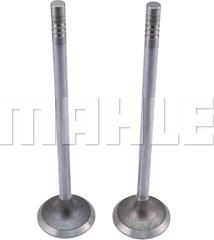 MAHLE VE0461694 - Випускний клапан autocars.com.ua