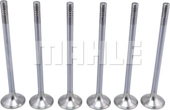 MAHLE VE0461735 - Випускний клапан autocars.com.ua