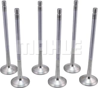 MAHLE VE0481487 - Випускний клапан autocars.com.ua