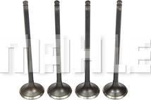 MAHLE VE0510264 - Випускний клапан autocars.com.ua