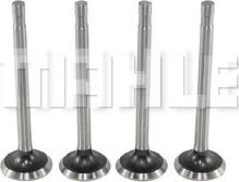 MAHLE VE0590042 - Випускний клапан autocars.com.ua