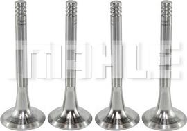 MAHLE VE0590065 - Випускний клапан autocars.com.ua