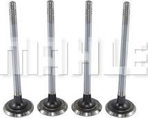 MAHLE VE0590171 - Випускний клапан autocars.com.ua