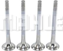 MAHLE VE0700021 - Випускний клапан autocars.com.ua