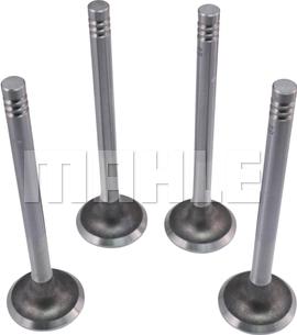 MAHLE VE0700022 - Випускний клапан autocars.com.ua