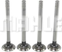 MAHLE VE0700027 - Випускний клапан autocars.com.ua