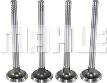 MAHLE VE0700049 - Випускний клапан autocars.com.ua