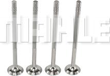 MAHLE VE0700073 - Випускний клапан autocars.com.ua