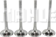 MAHLE VE0700087 - Випускний клапан autocars.com.ua