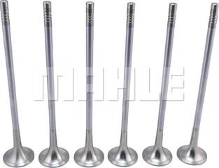 MAHLE VE0711743 - Випускний клапан autocars.com.ua