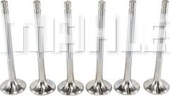 MAHLE VE0760012 - Випускний клапан autocars.com.ua